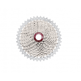 copy of CASSETTA PIGNONI...